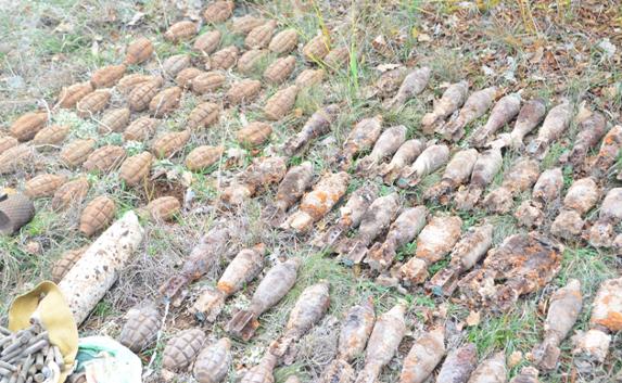 ​Грибники нашли под Севастополем арсенал боеприпасов времён ВОВ