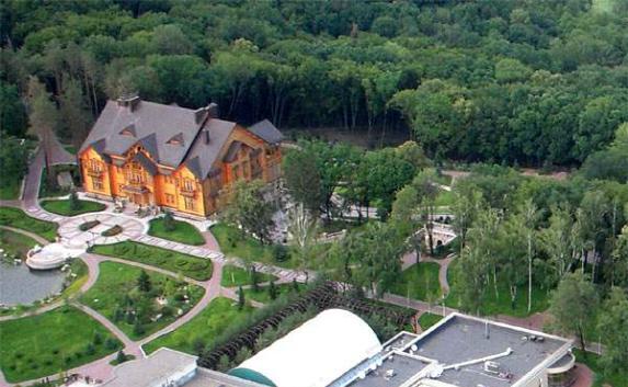 Сын Януковича рассказал, что отец жил в «доме с пеньками»
