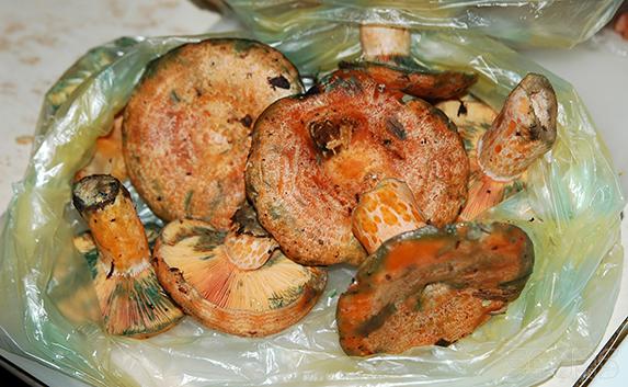 ​В Севастополе зарегистрировано девять случаев отравления грибами
