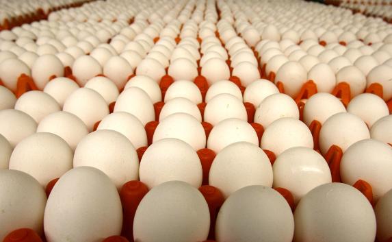 ​Сотни тысяч яиц из Херсона не пустили в Крым