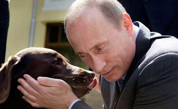 Подаренный Путину японцами щенок прибыл в Россию
