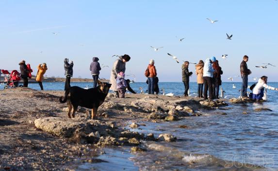 Морозы в Севастополе продлятся до 9 января