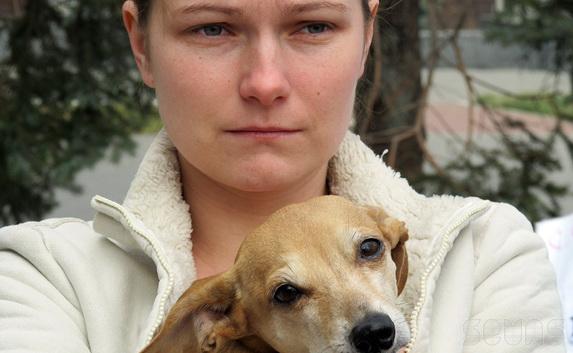 В Севастополе участились случаи отравления собак 