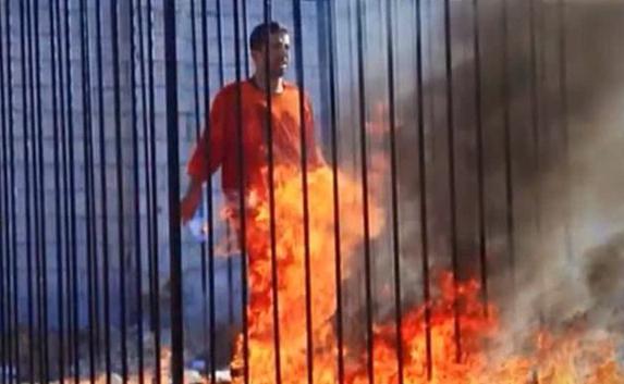 СМИ: Исламисты заживо сожгли иорданского лётчика