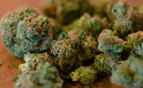 Наркоторговцу дали тюремный срок и штраф за восемь кило марихуаны