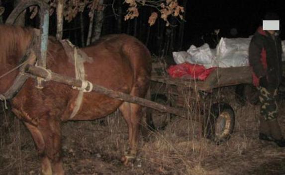 Украинское сало «ехало» в Россию на телеге с лошадью