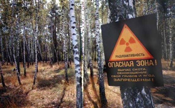 Из Чернобыльской зоны пытались вывезти кирпичи