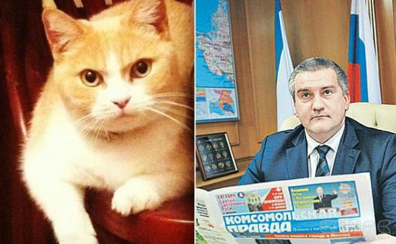 Крымские чиновники похвастались котами
