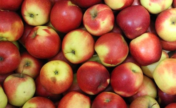 В Крым не пустили десять тонн польских яблок