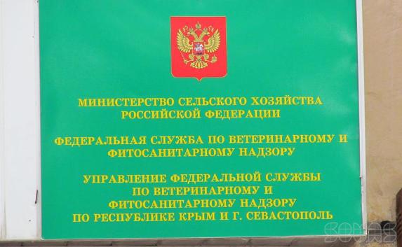 В Крымсельхознадзоре не хватает сотрудников 