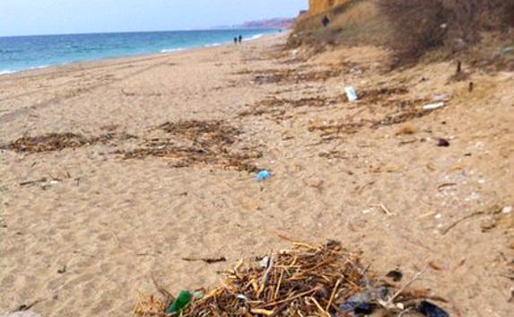В Севастополе пляж «Любимовка» утопает в мусоре