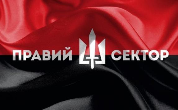 «Правый сектор» в Крыму признан «террористической организацией»