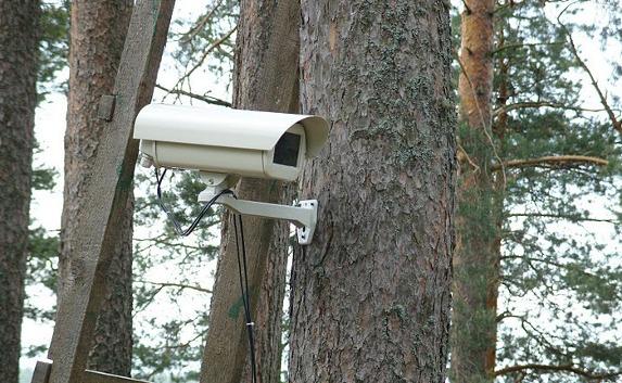 В лесах Крыма установят камеры наблюдения
