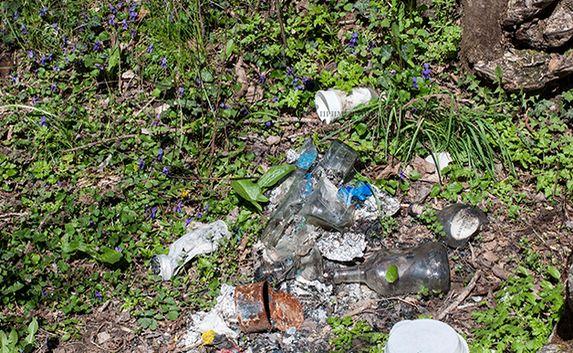 Места отдыха в Севастополе превратились в свалки мусора