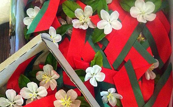 Символом 9 мая в Беларуси станет «Цветок Великой Победы»