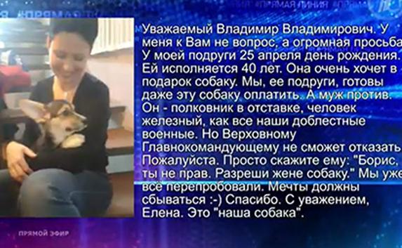 Жена полковника Бориса рассказала о его реакции на просьбу Путина