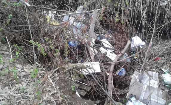 В Крыму дорожные службы завалили лесополосы мусором