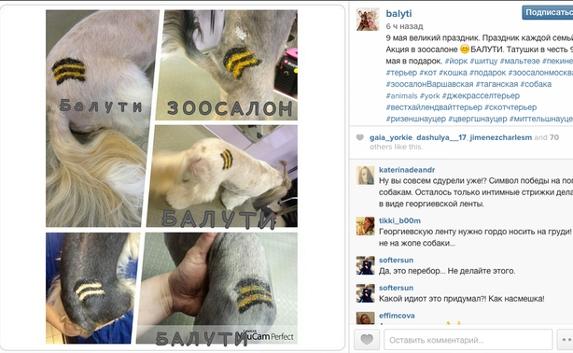 Зоосалон в Москве делает собакам тату цвета георгиевской ленты