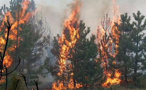 В Крыму объявлена чрезвычайная пожарная опасность
