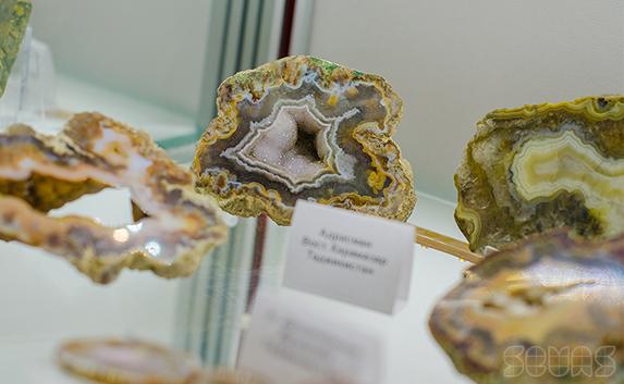 В Севастополе открылся Музей камня