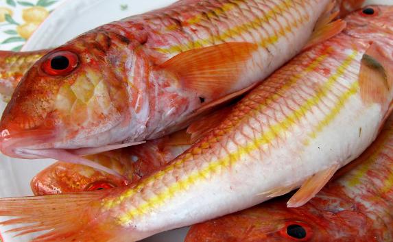 ​В Феодосии для «Барабульки» выловили две тонны рыбы
