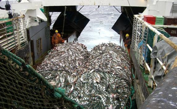 Власти Крыма озвучили проблемы рыбной отрасли