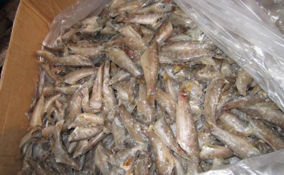 В Крым не пустили почти 20 тонн украинской рыбы
