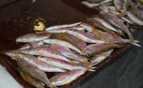 Ни рыба ни мясо: барабуля в Керчи стоит как свинина