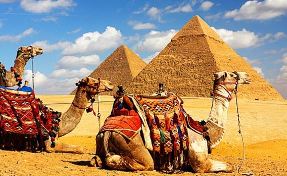 Петербургский депутат хочет запретить въезд в Египет туристам из России 
