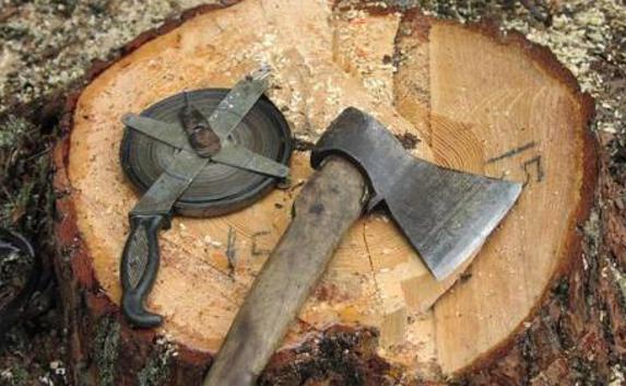 ​Прокуратура Ялты обнаружила незаконную вырубку деревьев на ЮБК