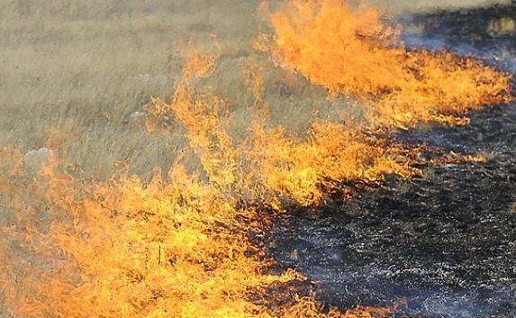 В Севастополе запрещено посещение лесов из-за угрозы пожаров