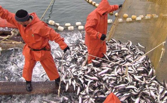 Севастополь вылавливает больше всего рыбы в Крыму