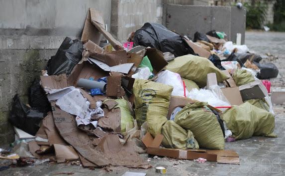 Правительство утверждает, что мусор в Севастополе убирают