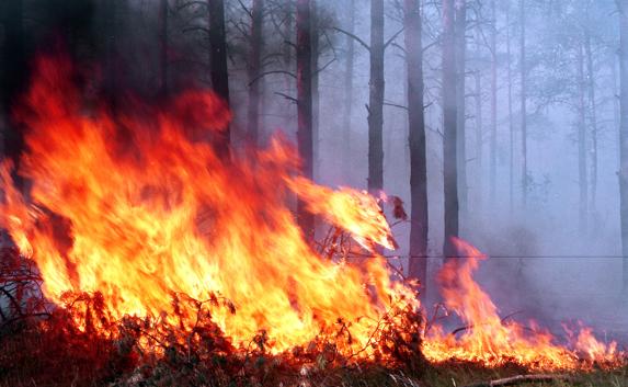 В Крыму объявлен высокий уровень пожароопасности