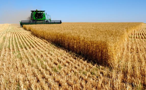 ​Крым обещает накормить Россию пшеницей
