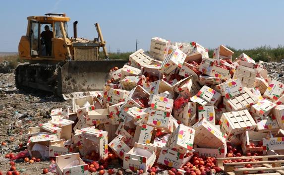 В Керчи на свалке уничтожили «санкционные» персики
