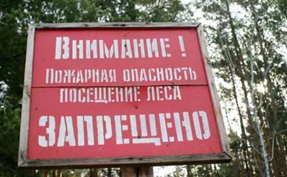 В Крыму до 5 сентября продлили запрет на посещение лесов
