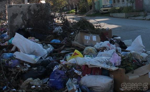 За несоблюдение чистоты в Севастополе оштрафуют