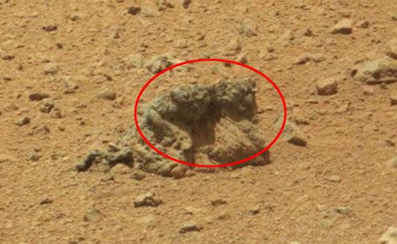 На снимке NASA разглядели «обнимающихся марсиан»