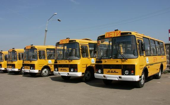 Власти Севастополя выдвинули требования к школьным автобусам
