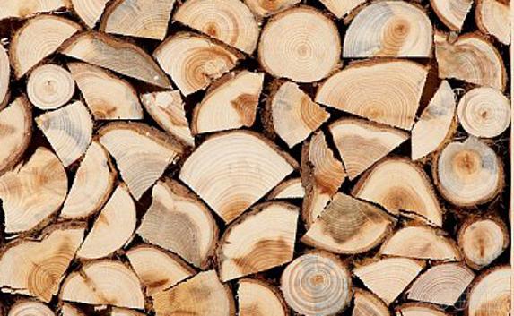 ​Севастополь готовится к зиме — во сколько обойдутся дрова?