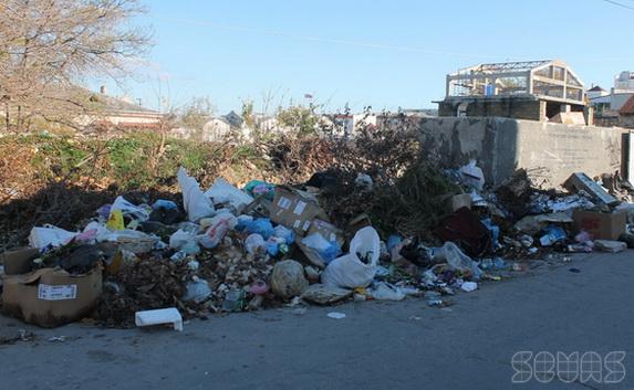 В Севастополе штрафуют за мусор