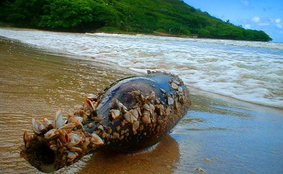 Сто бутылок крымского вина спрятали на дне Чёрного моря