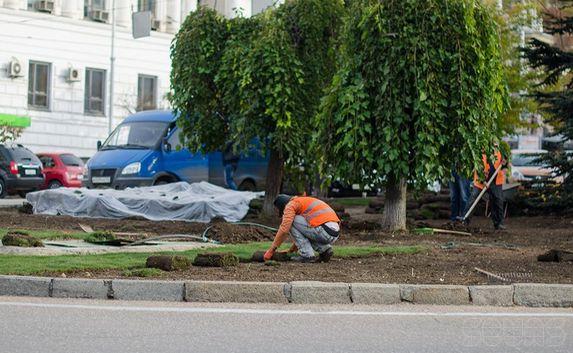 Клумбы в центре Севастополя облагораживает... Москва