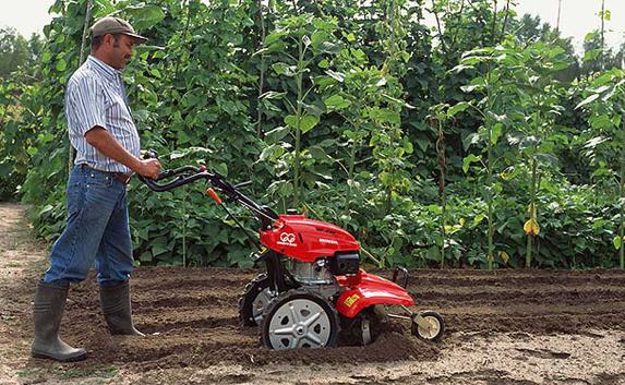 Севастопольского косаря зажало между лопастями культиватора 
