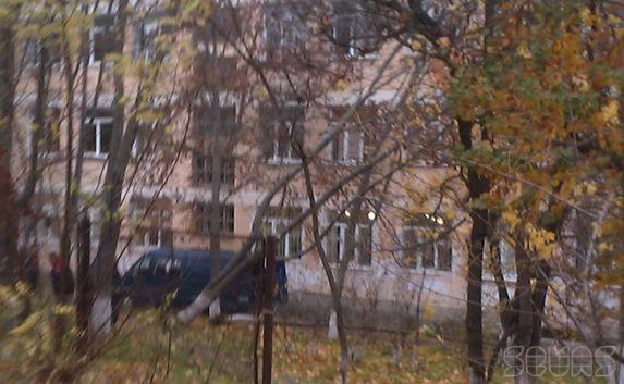 Дерево рухнуло на окна восьмой гимназии в Севастополе