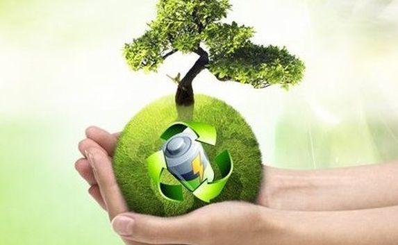 Батарейки из фонарей просят утилизировать правильно: адреса