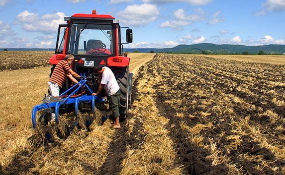 Фермеры Севастополя получили гранты на развитие хозяйства