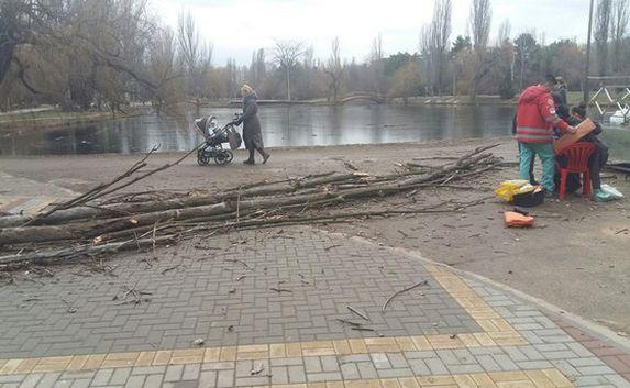 Сухое дерево упало на женщину с ребёнком в Симферополе