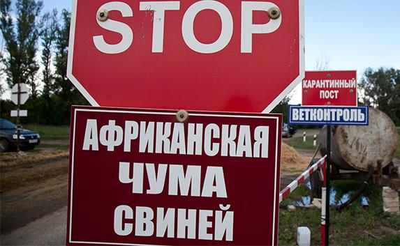 Ввоз свинины в Севастополь из некоторых районов Крыма запрещён